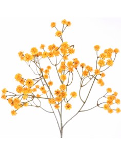Vara artificial paniculata