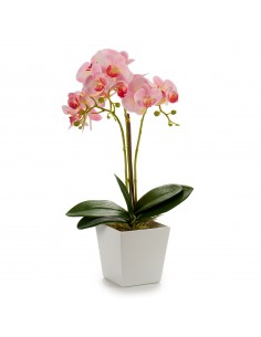 Orquídea en maceta cuadrada...