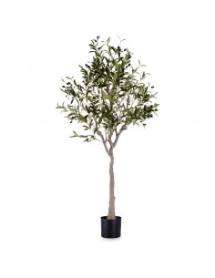 Planta con maceta olivo 130cm 2