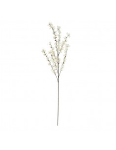 Vara flor blanca forsythia...