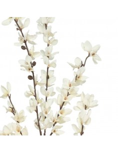 Vara flor blanca forsythia... 2