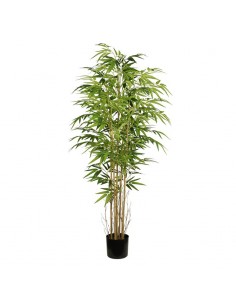 Planta árbol bambú 150cm 2
