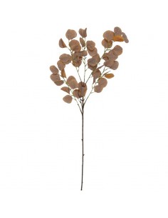 Vara eucalipto marrón 96cm