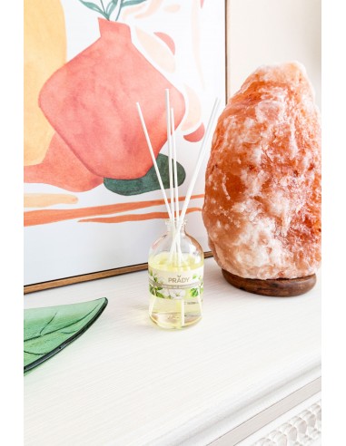 Ambientador mikado 100ml Jardín de...