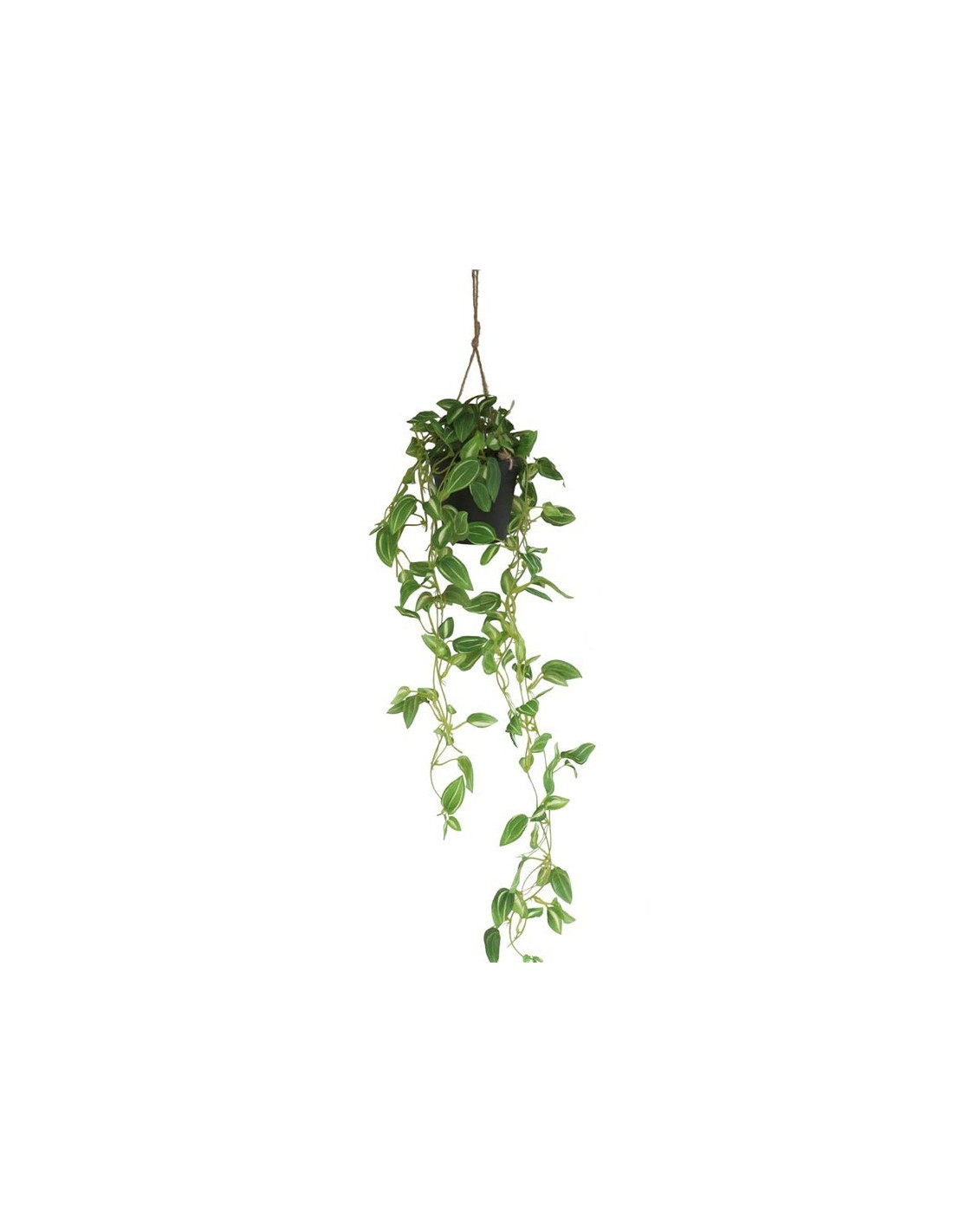 Planta Artificial Colgante Con Maceta 60 Cms Deco