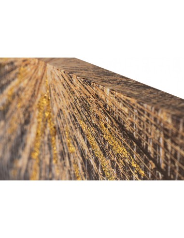 Cuadro lienzo abstracto 70x50cm Pandora