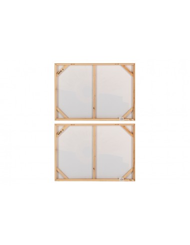 Cuadro lienzo abstracto 70x50cm Pandora