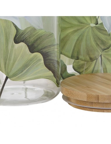 Bote borosilicato nenúfares 1,4L