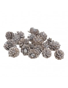 Set piñas decorativas