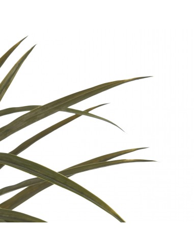 Planta con maceta hoja estrecha 150cm