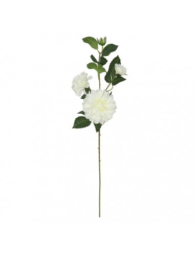 Vara dalia blanca 73cm