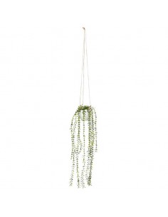 Maceta planta colgante... 2