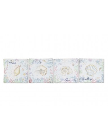 Cuadro lienzo conchas 40cm Marilia