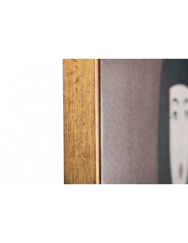 Cuadro lienzo enmarcado señora...