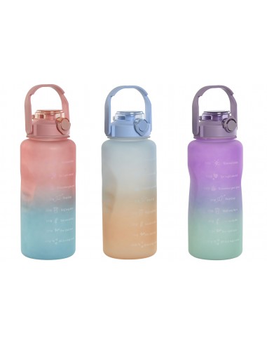 Botella PVC multicolor 2L