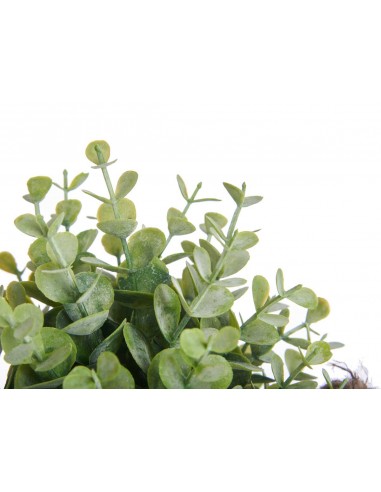 Planta hojas verdes en jarrón de metal