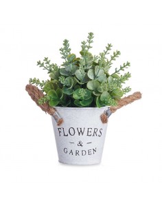 Planta hojas verdes en...