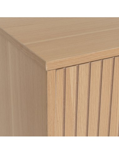 Mueble de TV dos puertas Serilda