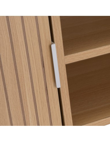 Mueble de TV dos puertas Serilda