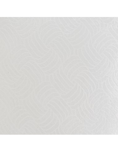 Cojín satinado blanco 45cm Eleris