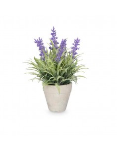 Maceta lavanda 2