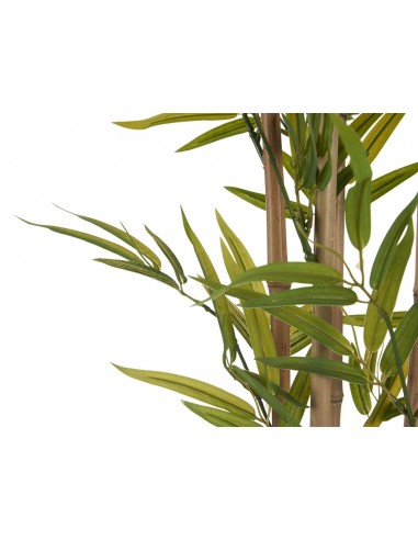 Planta con maceta bambú 120cm