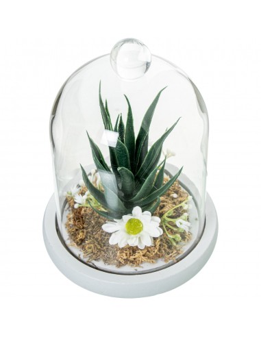 Planta en cúpula de cristal base...