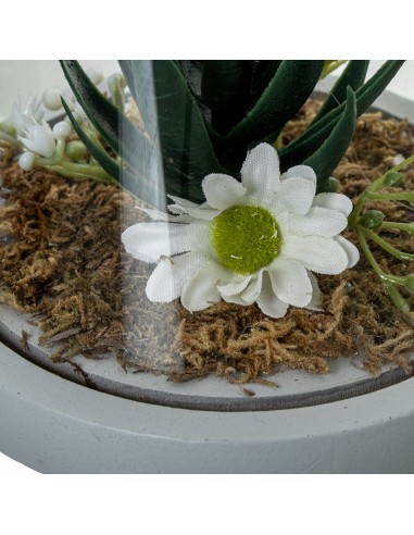 Planta en cúpula de cristal base...