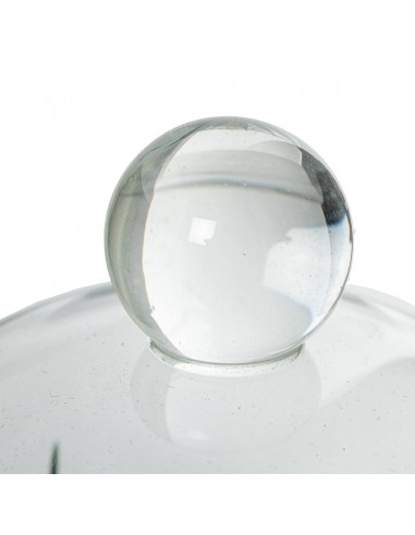 Planta en cúpula de cristal base...