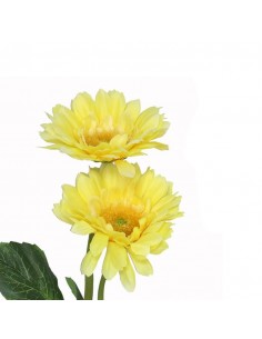 Vara gerbera amarilla...