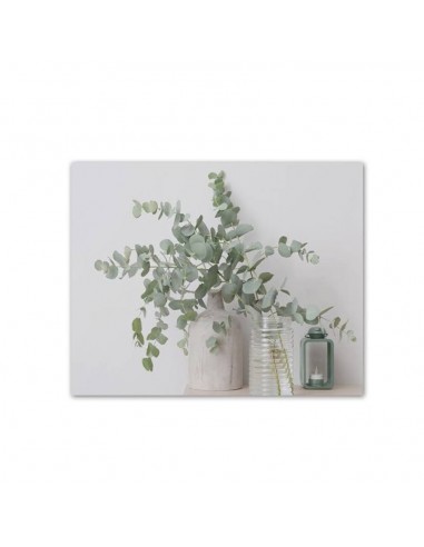 Cuadro lienzo 50x40cm Eucalipto Cuadro lienzo 50x40cm Eucalipto