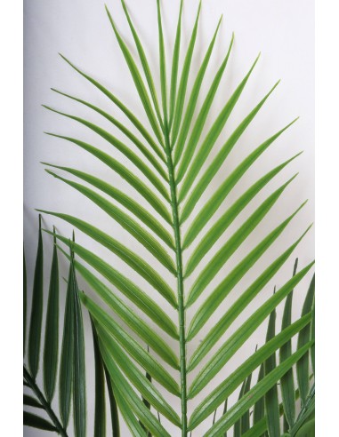 Palmera en maceta pvc 70cm