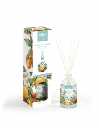 Ambientador mikado 100ml Karma