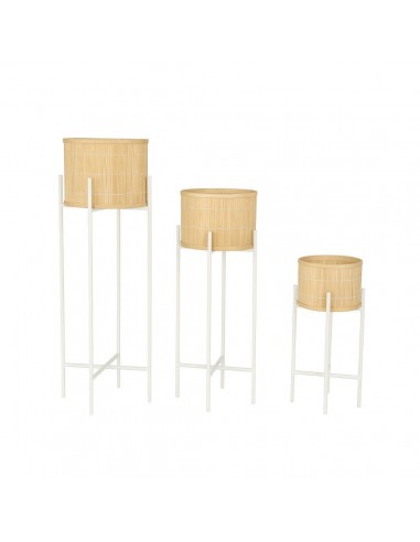 Macetero de bambú con soporte metal...