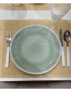 Plato de melamina turquesa...