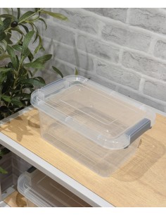 Caja multiusos transparente 2L
