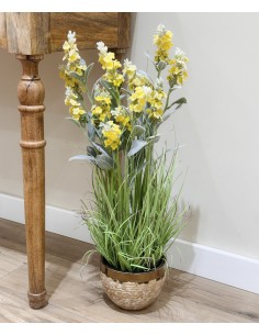 Planta decorativa lavanda...