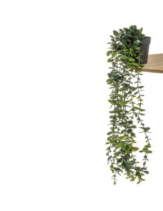 Planta colgante artificial...