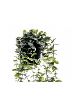 Planta colgante artificial... 2