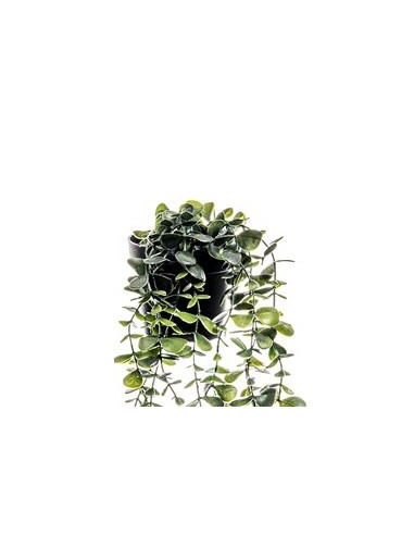 Planta colgante artificial 50cm
