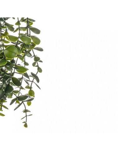 Planta colgante artificial 50cm
