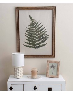 Cuadro helechos 40x55 Botanic