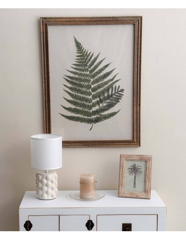 Cuadro helechos 40x55 Botanic Cuadro helechos 40x55 Botanic
