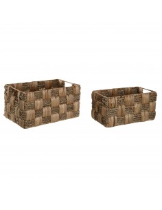 Cesta jacinto de agua... 2