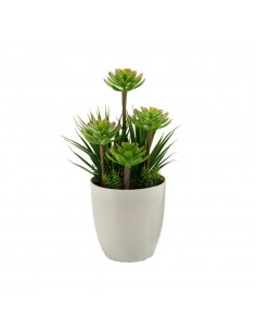Planta artificial suculenta... 2