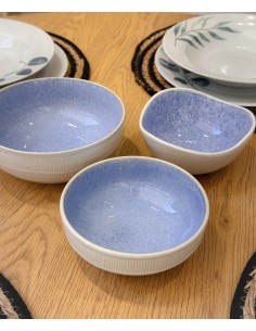 Bol blanco y azul 13cm Terris