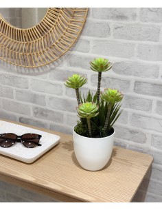 Planta artificial suculenta...