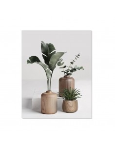 Cuadro lienzo plantas... 2