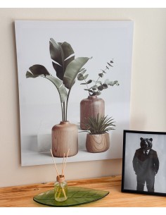 Cuadro lienzo plantas...