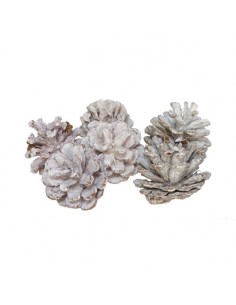 Set piñas blancas 2